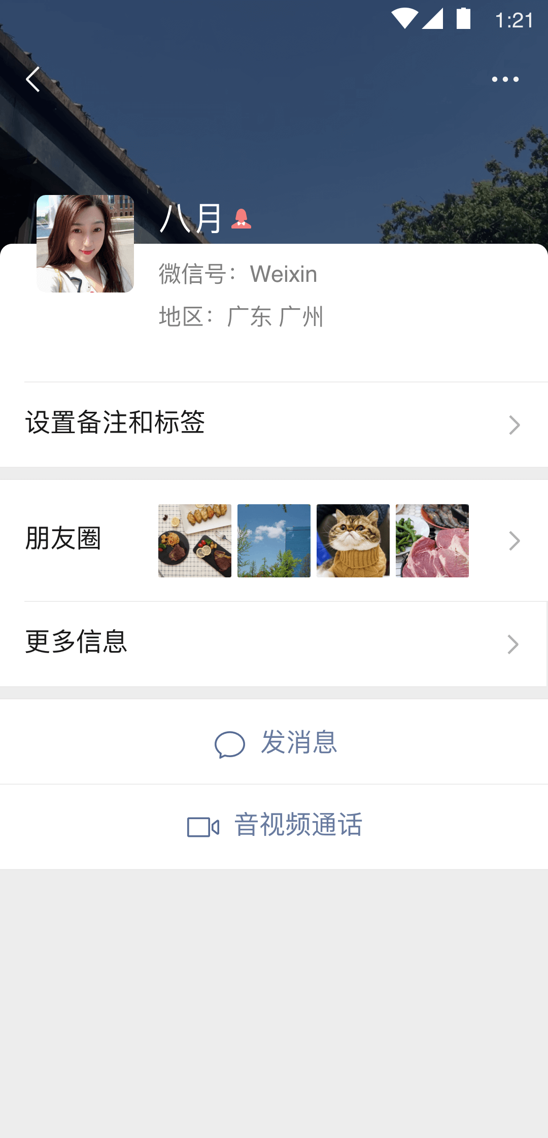 长腿的动物都有哪些名字截图